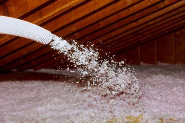 Best Types of Insulation in Dover, FL