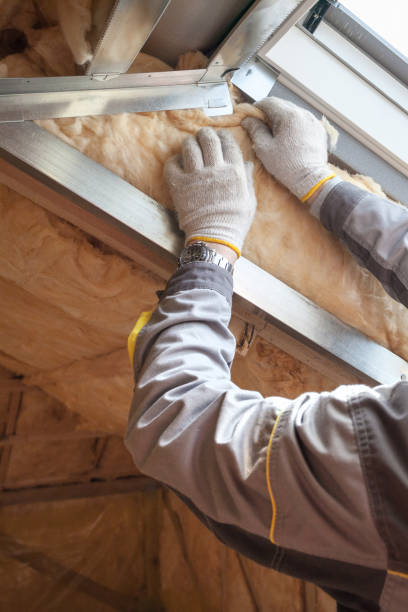 Best Commercial Insulation in Dover, FL